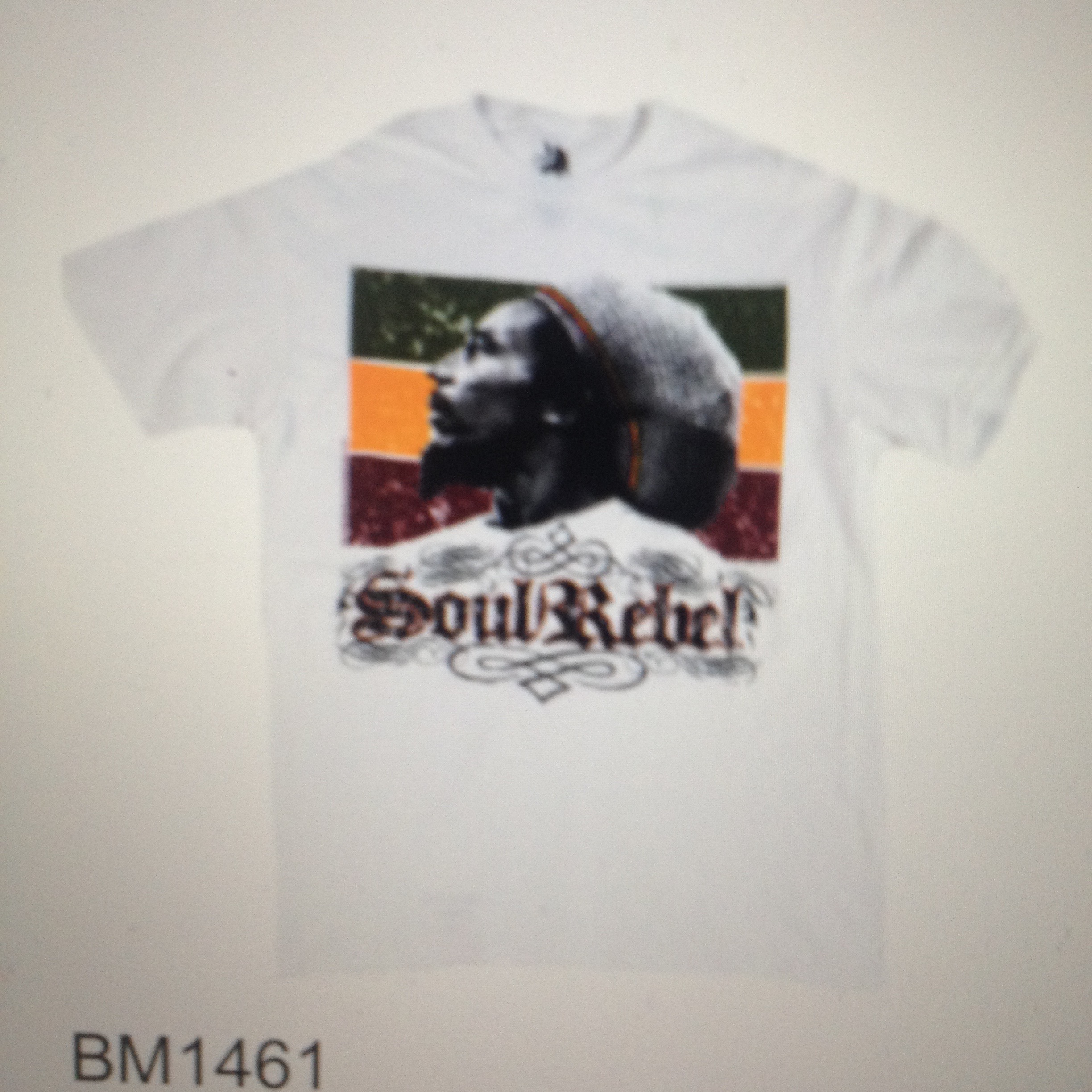 Soul Rebel